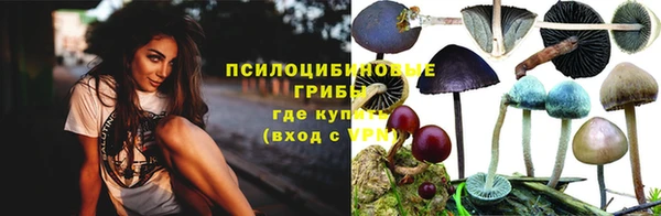 спиды Карталы