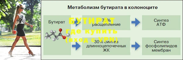 jwh Карпинск