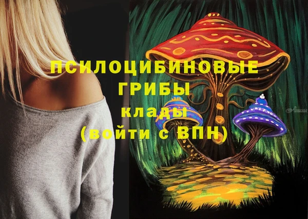 герыч Касимов