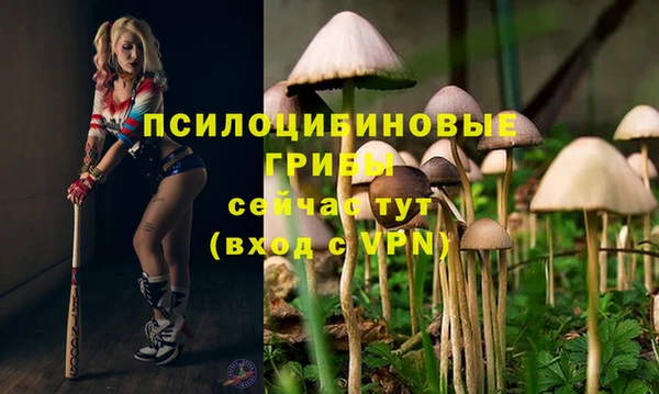 герыч Касимов