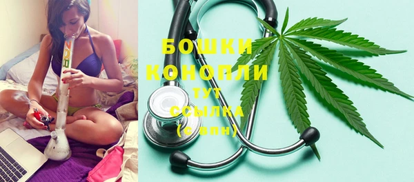 jwh Карпинск