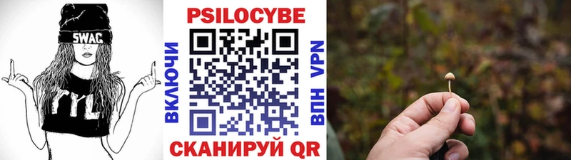 Галлюциногенные грибы GOLDEN TEACHER  Купить где  Каменск-Шахтинский 